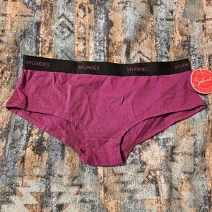 Splendies hiphugger panties